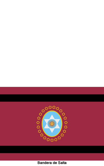 bandera de la provincia de Salta