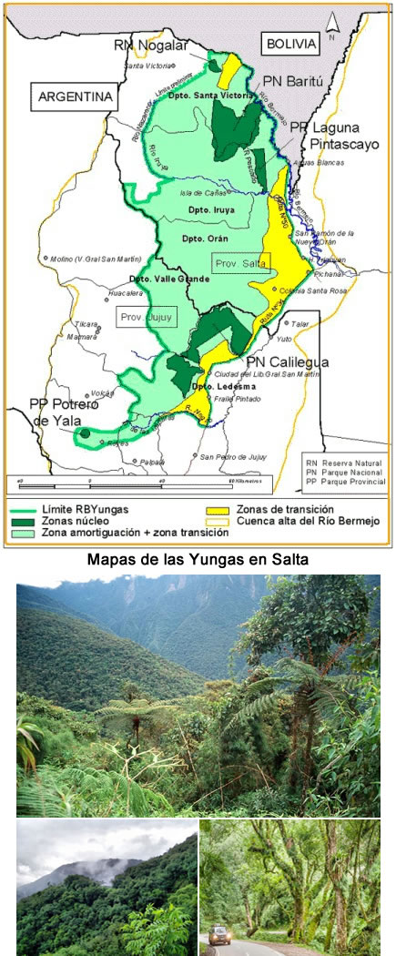 mapas de las yungas