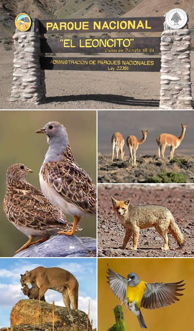 Parque Nacional El Leoncito