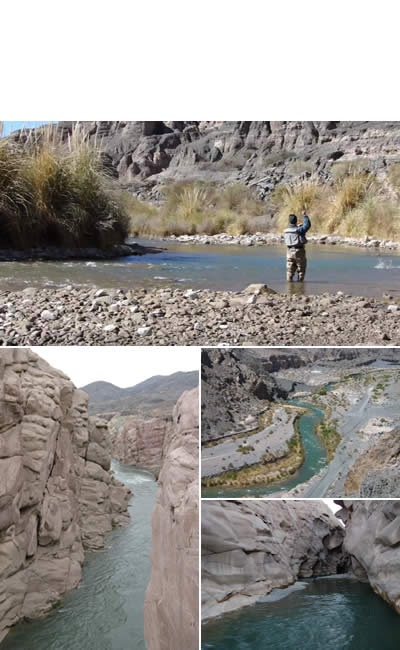 Río Jáchal  en la provincia de San Juan