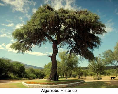 Algarrobo Histórico - turismo en San Luis