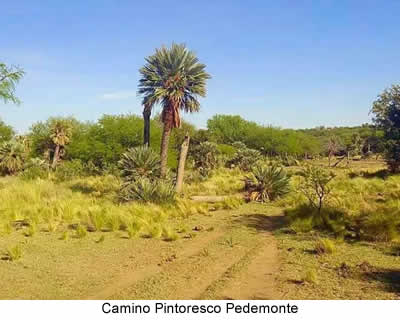 Camino Pintoresco Pedemonte , turismo en San Luis