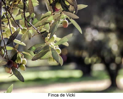 Finca de Vicky ,turismo de san luis