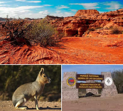 Ecosistema del Parque Nacional Sierra de las Quijadas