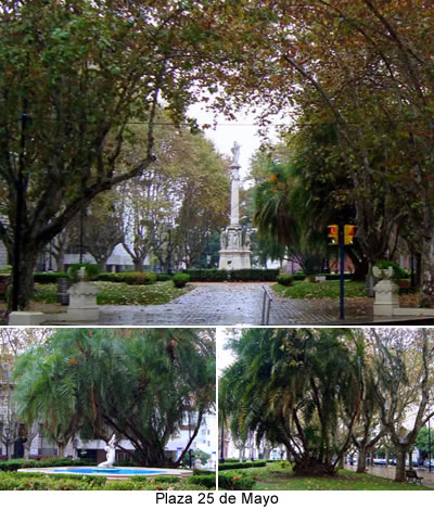 plaza 25 de mayo - turismo de rosario