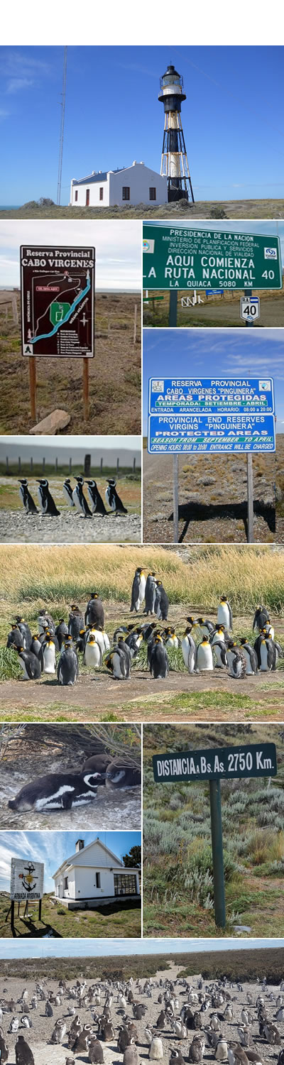 Reserva natural Cabo Vírgenes - turismo en santa cruz