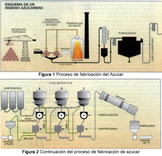 proceso de fabricacion del azucar