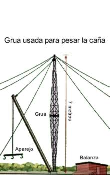 grua para leventar la caña