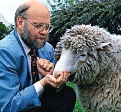 Nació la  oveja Dolly primer mamífero clonado
