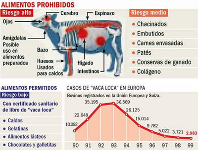 Prohíben el ingreso de alimentos europeos por la vaca loca