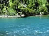 Parque Nacional Los Alerces  Esquel