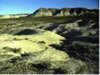 Reserva Provincial Punta Pir�mide  Puerto Mad