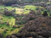Reserva Privada el Talar de Beln  Beln de E