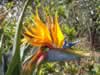 Parque Nacional Barit�  Salta