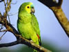 Reserva Nacional Formosa  Formosa